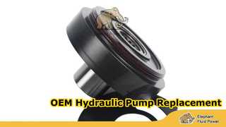 A10VG45-F02 圆形 T13 大象45秒版1