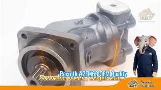Chất lượng Oem A2FM63 Rexroth Series 6 Động cơ cố định Piston hướng trục Giá xuất xưởng Lô hàng Trưng bày nhanh