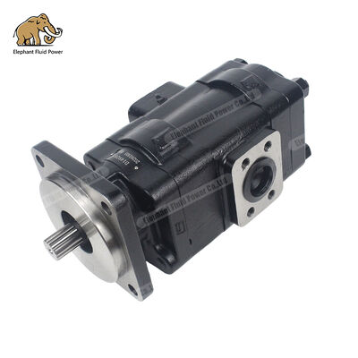 D149283 Parker Cast Iron Gear Pump tương thích
